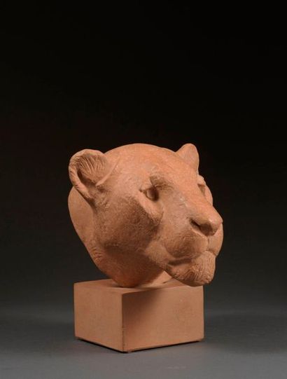 Georges Guyot Georges GUYOT (1885-1973) - Lioness's head - Pink terracotta, natural...