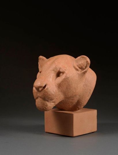 Georges Guyot Georges GUYOT (1885-1973) - Lioness's head - Pink terracotta, natural...
