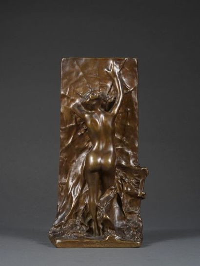 Raymond SUDRE Raymond SUDRE (1870-1962) - La toile d'amour, Arachnée - Bronze à patine...