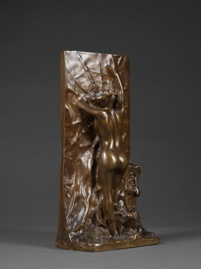 Raymond SUDRE Raymond SUDRE (1870-1962) - La toile d'amour, Arachnée - Bronze à patine...