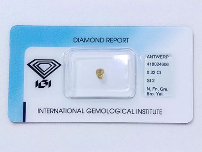 Diamant Diamant taille poire modifié brillant sous scellé pesant 0.32 ct.
Il est...