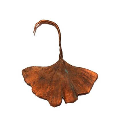 Claude LALANNE Claude LALANNE (1925-2019) - Ginkho leaf - Galvanized copper - Unsigned...