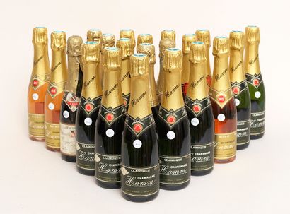 Champagne 21 half - bottles : 10 CHAMPAGNE HAMM Brut, 2 CHAMPAGNE ROGET DEPIT Brut,...