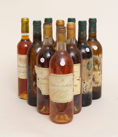 Vins divers 10 bouteilles : 2 CHÂTEAU DU VIEUX MOULIN 1995 Loupiac, 2 CHÂTEAU LES...