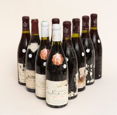 Bourgogne 9 bottles : 1 VOLNAY 1990 Seigneurie Saint Bénigne, 2 HAUTES CÔTES DE BEAUNE...