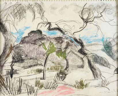 Willy EISENSCHITZ Willy EISENSCHITZ (1889-1974) - Landscape of Provence - Pastel...