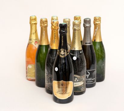 Champagne 10 bottles: 1 CHAMPAGNE BILLECART-SALMON Brut reserve, 2 CHAMPAGNE BONNEVIE-BOCART...