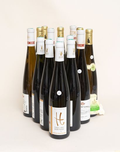 Alsace 15 bottles : 5 ALSACE 2009 Grand Cru Schoenenbourg (Pinot gris) Dopff au moulin,...