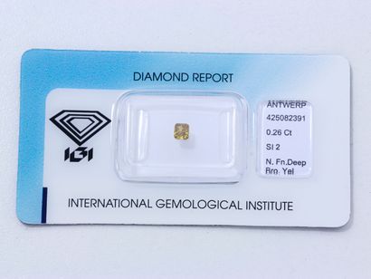 Diamant Cushion cut diamond modified brilliant under seal weighing 0.26 ct.

It is...