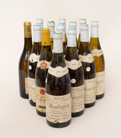 Vins divers 13 bouteilles : 11 MONTAGNY 1994 1er cru Cave des vignerons de buxy,...
