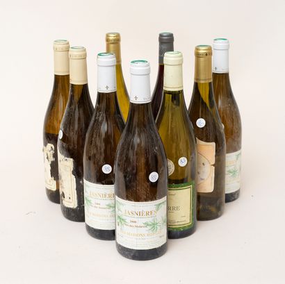 Vins divers 
9 bouteilles : 2 JASNIÈRES 2008	 Cuvée Sainte Narcisse Pascal Janvier,...