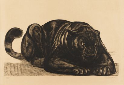 Paul Jouve Paul JOUVE (1878-1973) - Black Panther on the lookout - Etching signed...