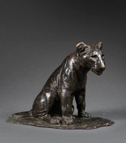 Roger GODCHAUX Roger GODCHAUX (1860-1938) - Lionceau assis - Bronze . Patine brune-...