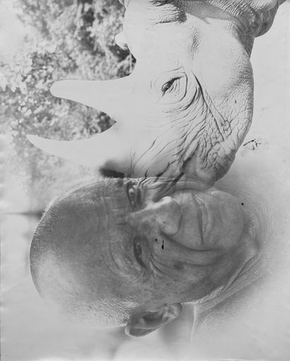 Richard de GRAB Richard DE GRAB - In a portfolio, Portrait of Pablo Picasso and Rhinoceros,...