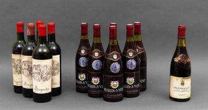 VINS 12 bottles including : 6 Moulin à Vent 1979, 5 Bouquetin, illegible vintage,...