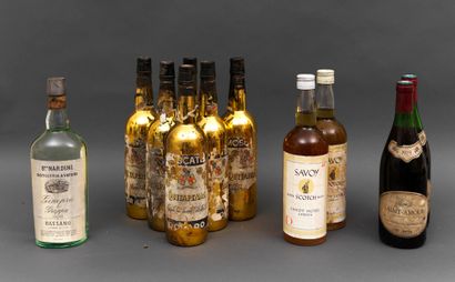 VINS 12 bottles including : 6 Moscatel Quitapenas golden bottles, 2 Saint Amour 1979,...