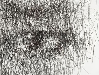 HOM NGUYEN 
HOM NGUYEN (1972) - Sans repères, 2017 - Crayon acrylique sur papier...