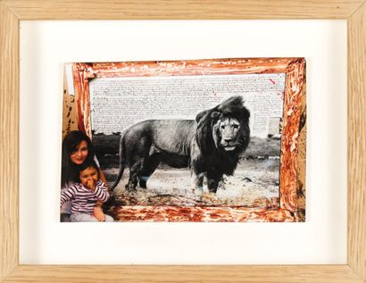 Peter Beard 
Peter BEARD (1938-2020) - Lion - Silver print, unique piece - 12 x 9...