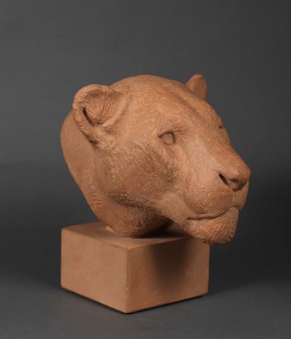 Georges Guyot Georges GUYOT (1885-1973) - Head of lioness - Pink terracotta, natural... Gazette Drouot