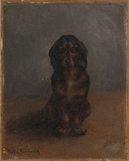 Rosa BONHEUR Rosa BONHEUR (1822-1899) - Portrait de chien - Huile sur toile signée...