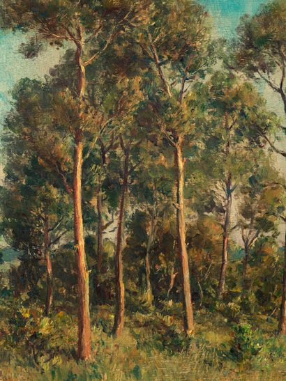 Paul SERVAIS Paul SERVAIS (1867-1931) - A l'orée de la forêt - Huile sur panneau...