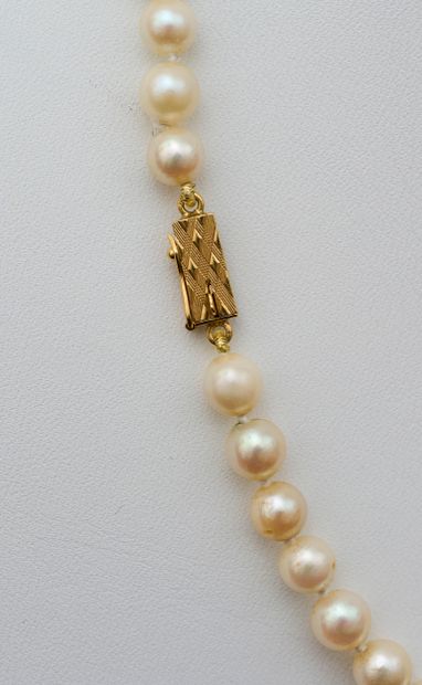 Collier Necklace composed of 75 cultured pearls (average diameter about 6 mm) enhanced...
