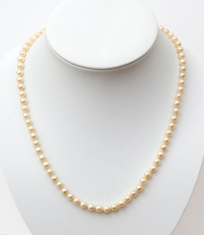 Collier Necklace composed of 75 cultured pearls (average diameter about 6 mm) enhanced...