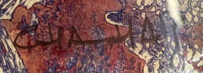 Chadar Vol de nuit - Sérigraphie - Epreuve d'artiste 1/4 - Signée - 33 x 25 cm