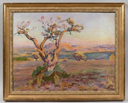 Henri PAILLER (1876-1954) Le vieil olivier,
Huile sur toile,
Signée en bas à droite
50...