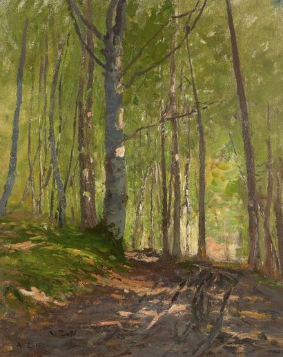 Alfred ZOFF (1852-1927) - Sous bois à Ammersee Sankt Georgen (1898) - Huile sur toile...