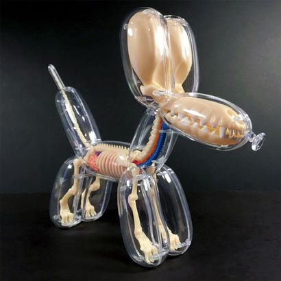 Jason FREENY Jason FREENY - Balloon Dog Anatomy - Detailed skeleton - Detachables...