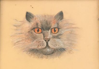 null Portrait de chat, dessin aux crayons monogrammé H.B en bas à droite - 17 x 22,5...