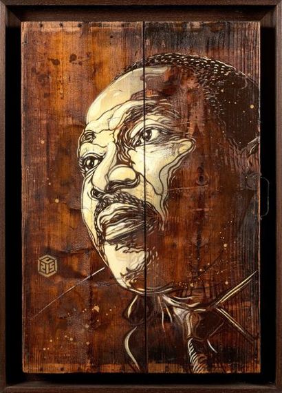 Christian GUEMY dit C215 Christian GUEMY dit C215 (né en 1973) - Martin Luther King,...