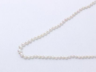null Collier composé d'un rang de perles de culture d'environ 2.2 à 5.9 mm. Il est...