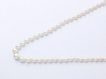 null Collier composé d'un rang de perles de culture d'environ 3.8 à 8.7 mm. Il est...