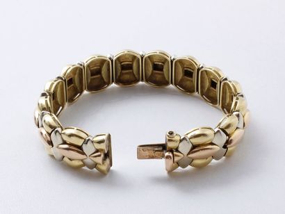 Bracelet Beau bracelet trois tons d'or 750 millièmes, maillons articulés à décor...