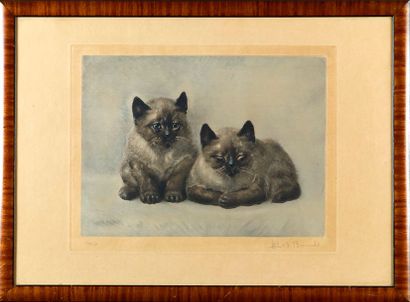 TOSHIO BANDO Toshio BANDO (1895-1973) - Les chatons - Estampe signée en bas à droite...