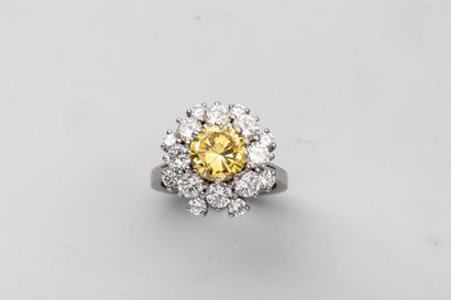 null Bague en or blanc 18k ornée d'un diamant JONQUILLE de 1,88 carats dans un entourage...