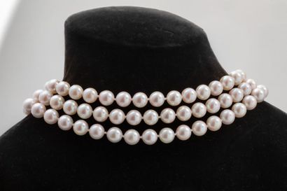 null Sautoir de Perles Akoya du Japon (7,5/8,0 mm), fermoir en or blanc 18k, Poids...
