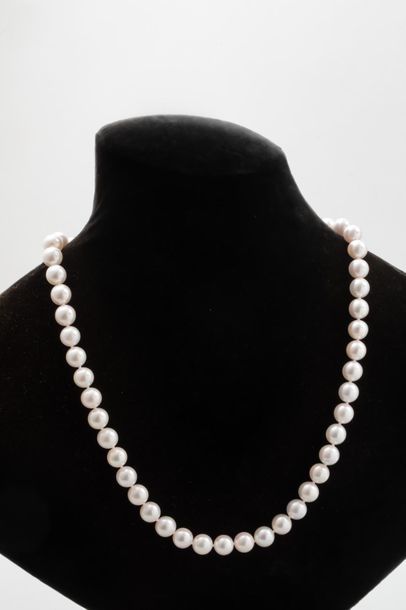 null Collier de perles de cultures Akoya du Japon (7,5/8,0 mm), fermoir or gris 18k,...