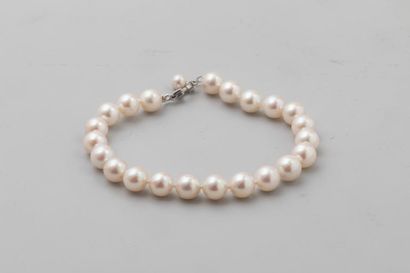null Bracelet de perles de culture Akoya (7/7,5 mm) et 1 perle de culture Akoya 5/5,5...