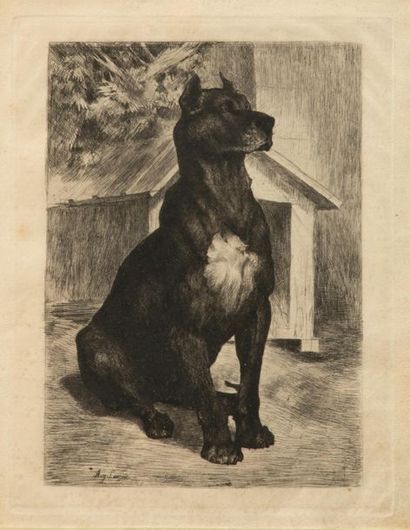 null Auguste LANCON (1836-1887) - Chien Assis - Gravure signée en bas à droite -...