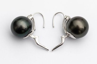 null Paire de boucles d'oreilles en or gris 18K ornées d'importantes perles de Tahiti...