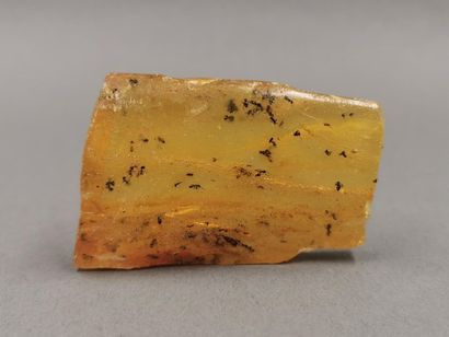 null Copal.Ambre jeune environ - 1million d’années avec de nombreux insectes. L ...