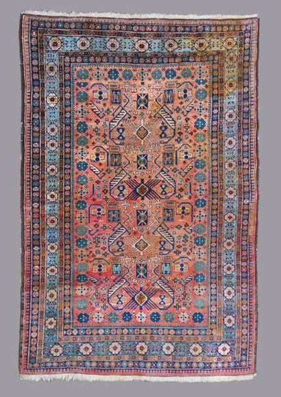 null TAPIS - Grand Meschkin ( Iran)- Velours en laine sur fondations en coton - Champ...