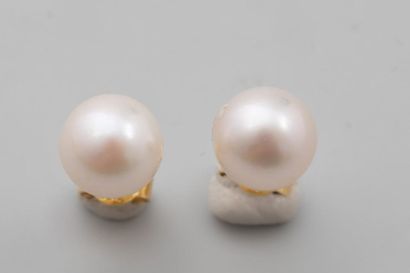 null Paire de boutons d'oreilles en or 18k ornées de 2 perles de culture Akoya du...