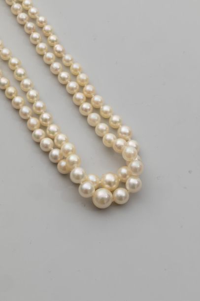 null Double strand necklace of Japanese cultured pearls falling from 2 to 5mm, Length:...
