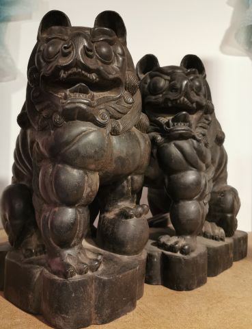 null CHINE XXeme - Paire de chiens de Fô en bois sculptés noir- H 39cm