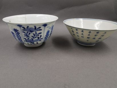 null CHINE - Deux bols en porcelaine à décors blanc bleu de chenilles et feuillages...