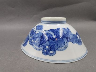 null CHINE - Deux bols en porcelaine à décors blanc bleu de chenilles et feuillages...